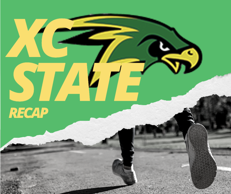 Cross Country State Recap